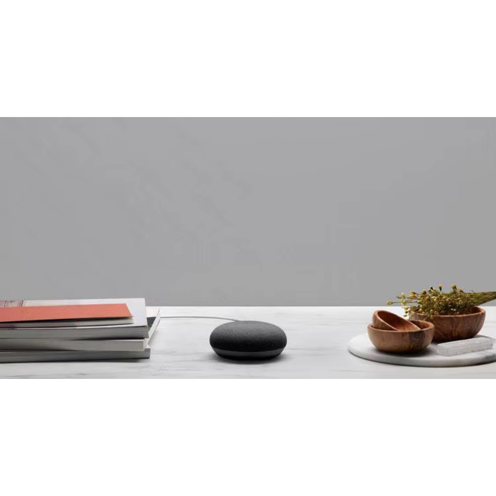 Para Google Nest Hub Max y Nes - Google Speaker Nest Hub reseña y precio